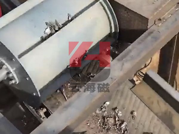 微信图片_202504110849331